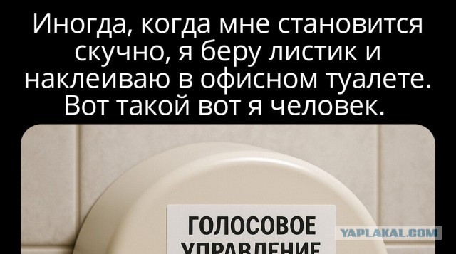 Картинки для деградации 11 (разной степени свежести)