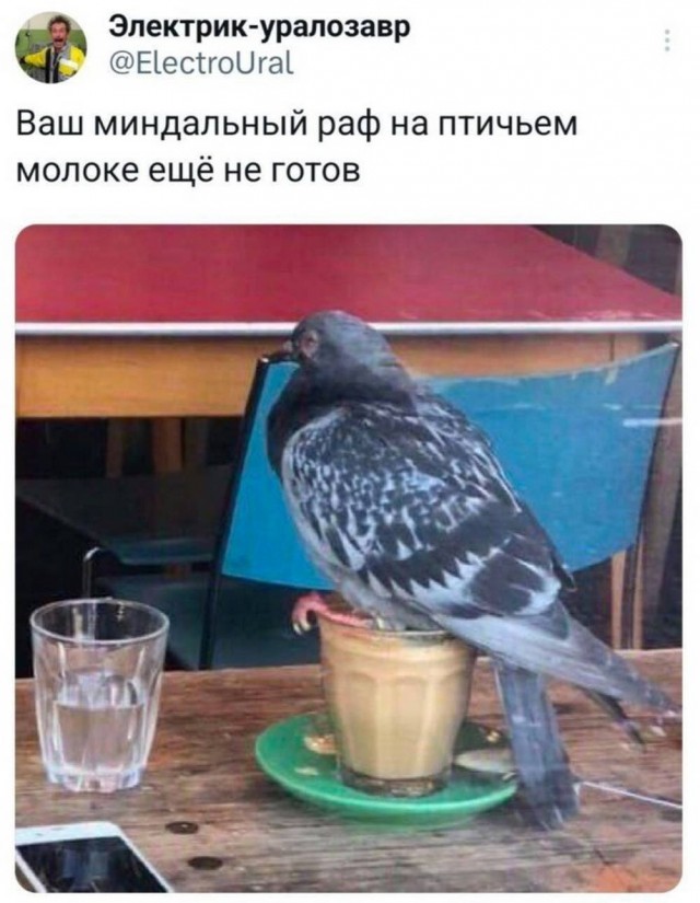 Маленькая пятница. 3.09