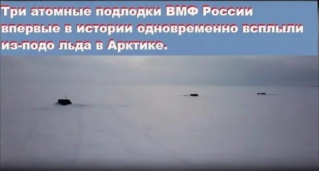 Трамп обратился к Путину после испытаний «Буревестника»