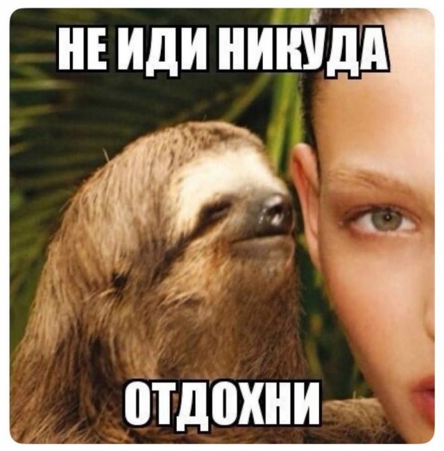 Субботние картинки
