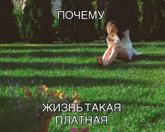 Картиночки, баянчики 17 декабря