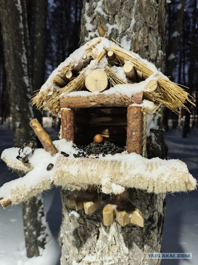 С белочкой нужно дружить заранее! Или пост про рукожопство.