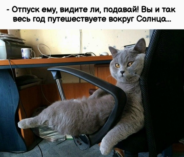 Так себе картинки 14.05.26