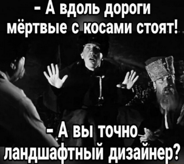 Картинки для деградации 203  (разной степени свежести)
