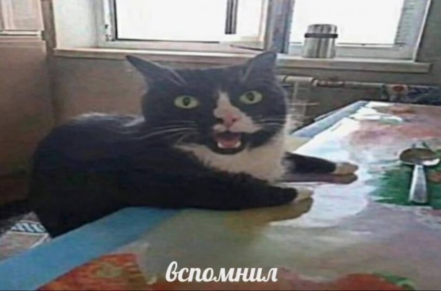 Контент для невзыскательной аудитории