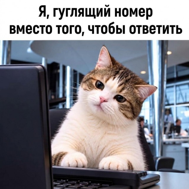 Солянка без копчёностей