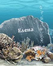 Самые необычные похороны