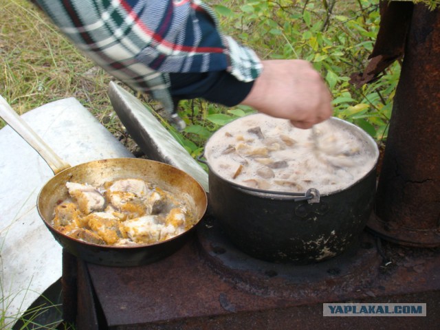 Север далекий, суровый и красивый