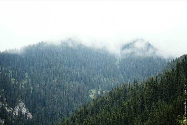 Озеро Каинды - Утонувший лес
