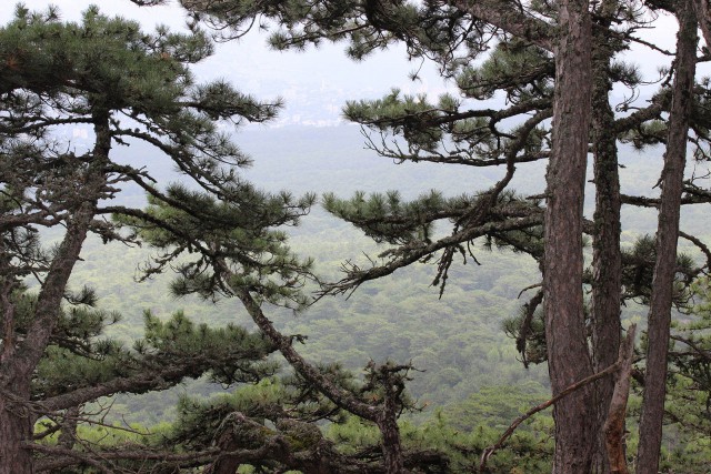 Отчёт о поездке в Крым 12.07 - 29.07