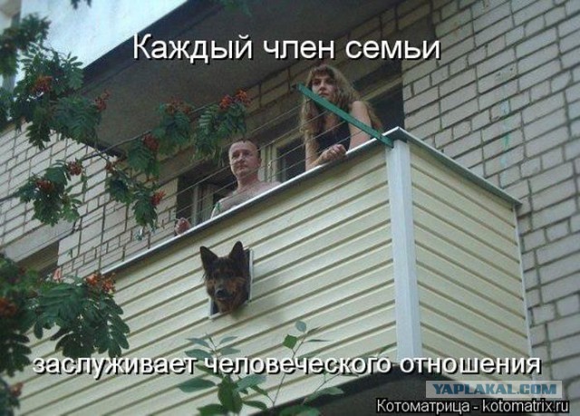 Адыгейская сигнализация.