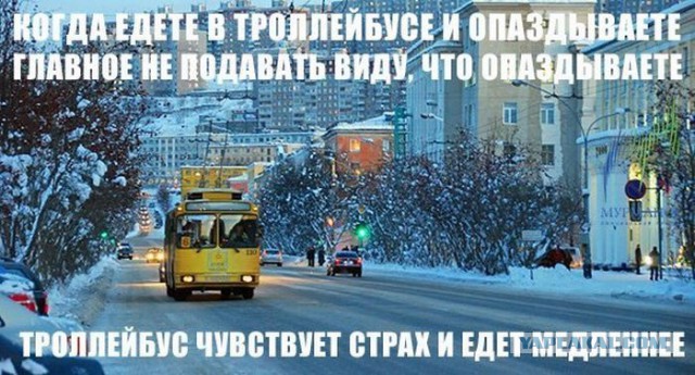 Веселые картинки