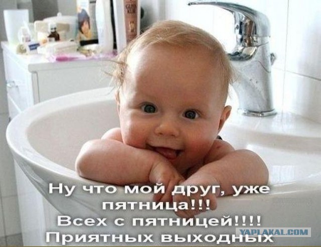 Весёлое из сети