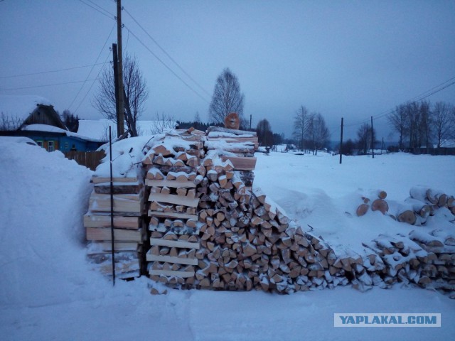 Котовторник 24.03.2015