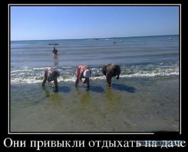 Лето в полном разгаре