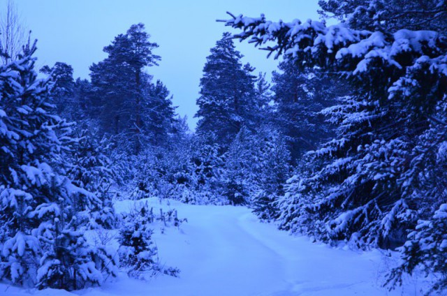 Ташкент, 2 января