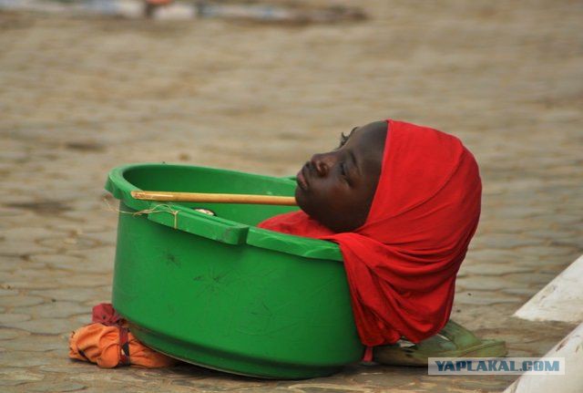 Мальчуган носит старшую сестру в тазике на работу