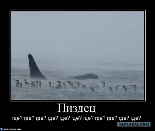 У меня грустные новости для соЯПовца. Слава Новиков тут есть?