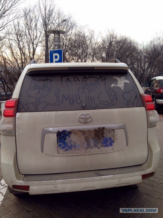 А на каких машинах ездят сами ЯПовцы?