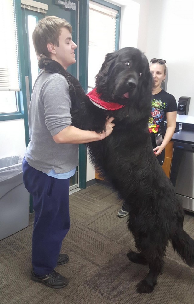 Подборка картинок