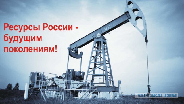 В Госдуме предложили включить плату за вред экологии в цену бензина