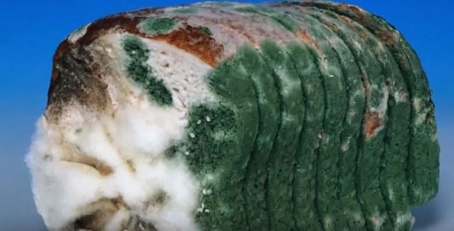 Кухня (кулинарное и околокулинарное общение)