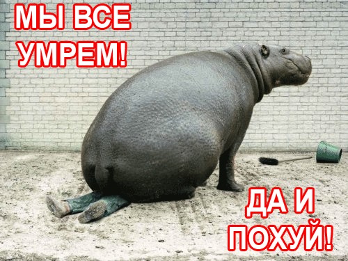 Про погоду: мы все умрем!