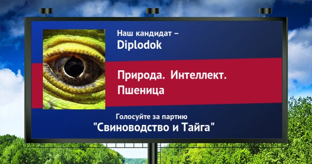 Стань кандидатом от ЯПа