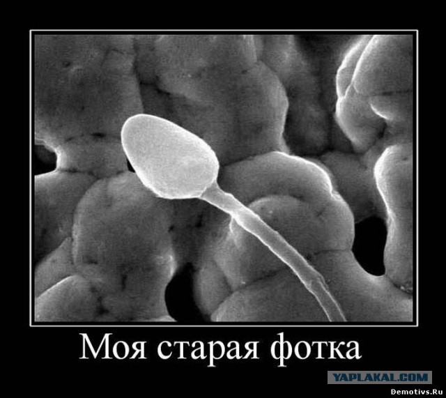Есть у меня много детских фоток