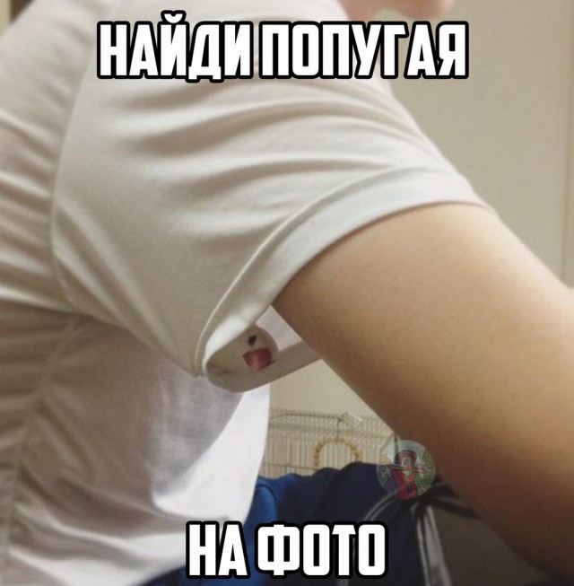 Подборка безудержного веселья
