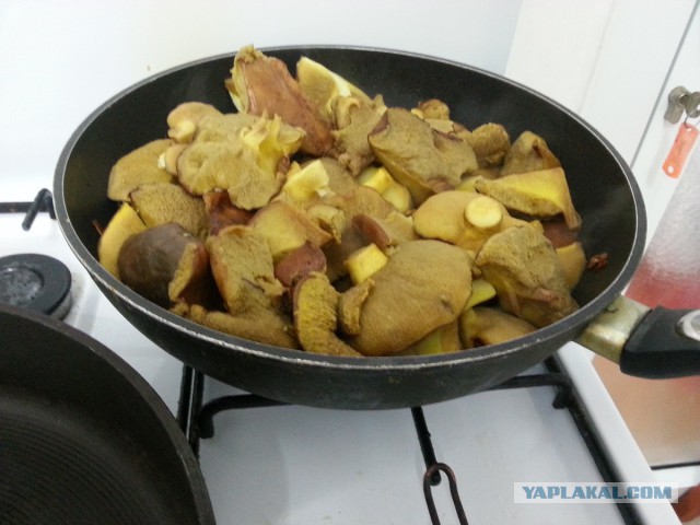 А у нас начало грибного сезона