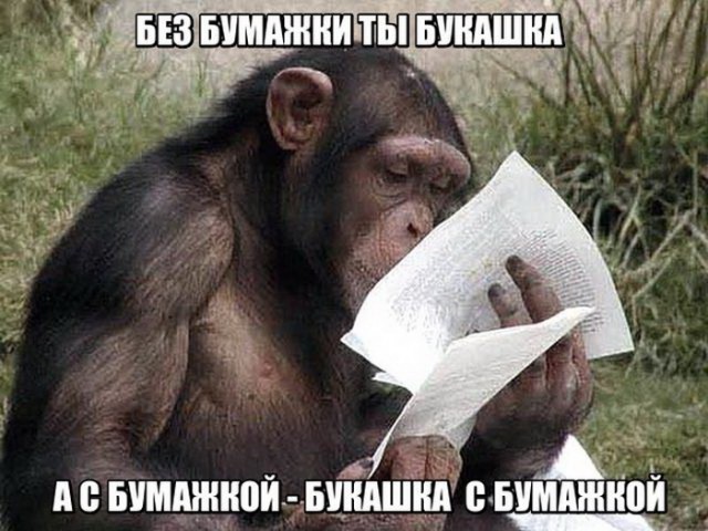 Подборка интересных и веселых картинок
