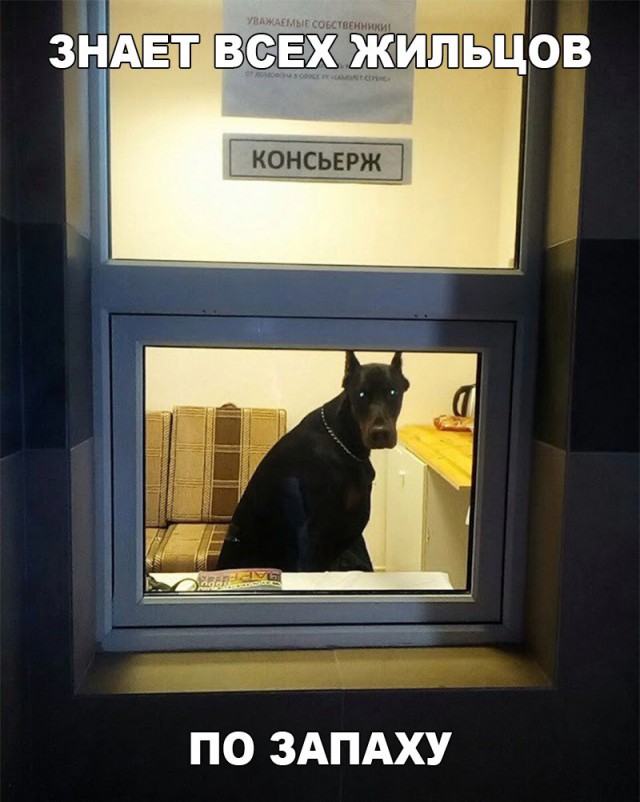 Нестандартный юмор