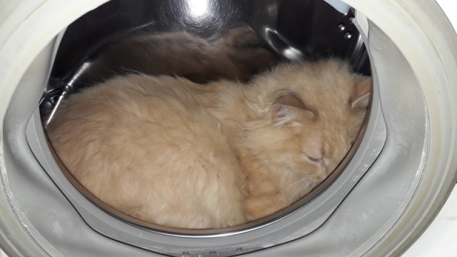 Стиральные машины, которых у многих в Нью-Йорке нет!