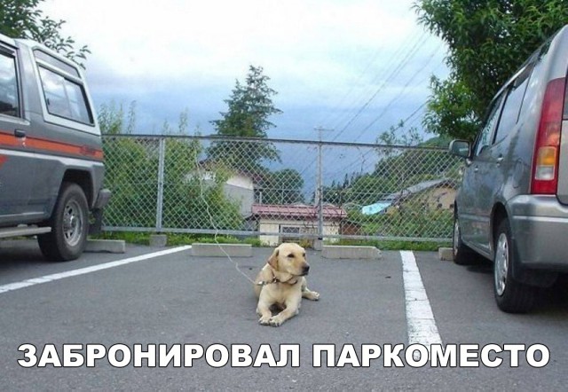 Нестандартный юмор