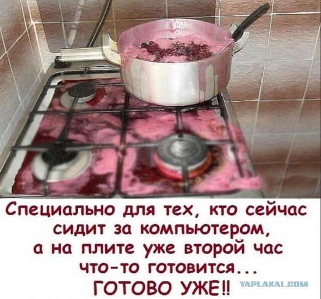 Чернушка-чернучшечка-чернушенция