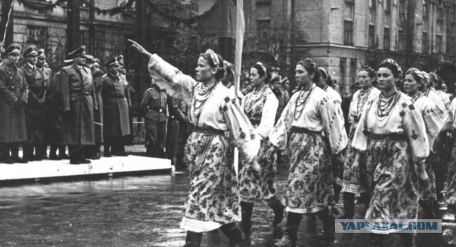 ВСУ готовят наступление на юге ДНР 14 декабря.