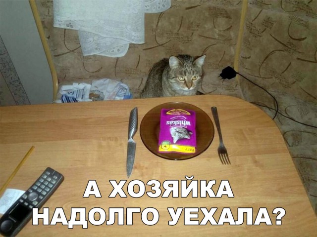 Нестандартный юмор