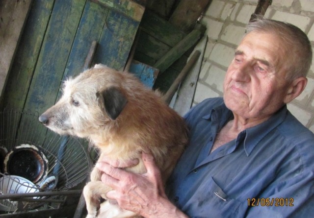 Человек с большой душой: пенсионер и собачий приют