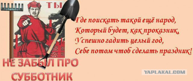 Префектура САО Москвы назвала "сучками крашенными" жителей столицы, уклоняющихся от субботника
