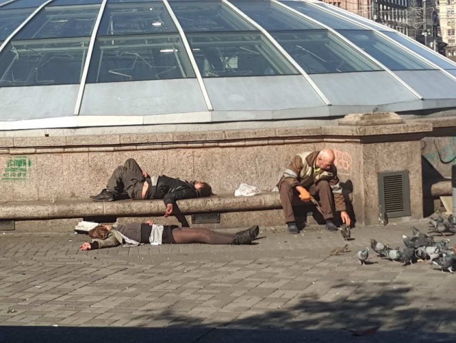 Скотсети и прочие интернеты 17.05.19