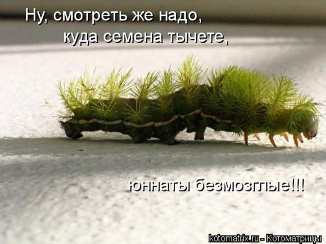 Прикольные и просто красивые картинки 02.07.2019