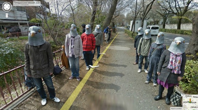 Google Street View показал топ-10 животных, случайно попавших в кадр