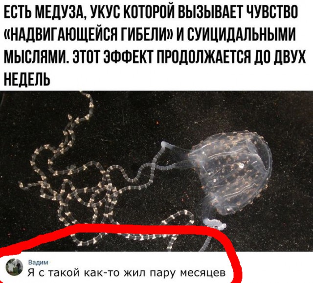 Белиссиммо