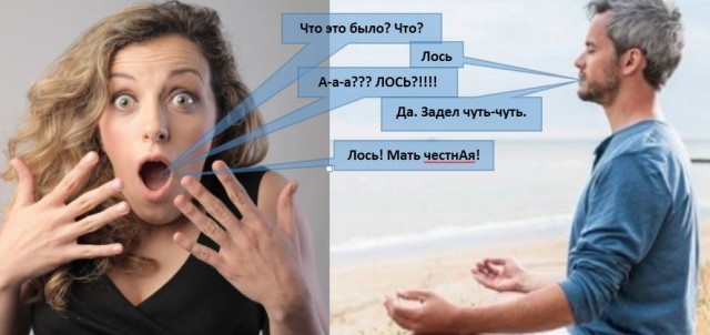 Обучающее пособие для водителей