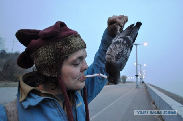 Сладких снов