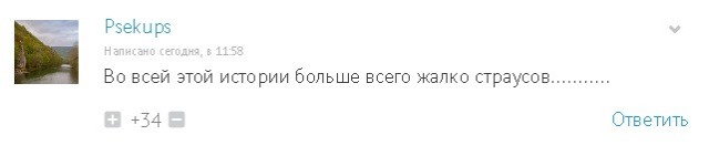 Зооферма «Алексин страус» закрывается. На хозяина завели уголовное дело.