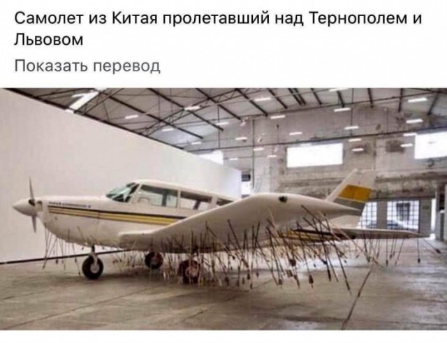 Сегодня мне стыдно за мою Украину...
