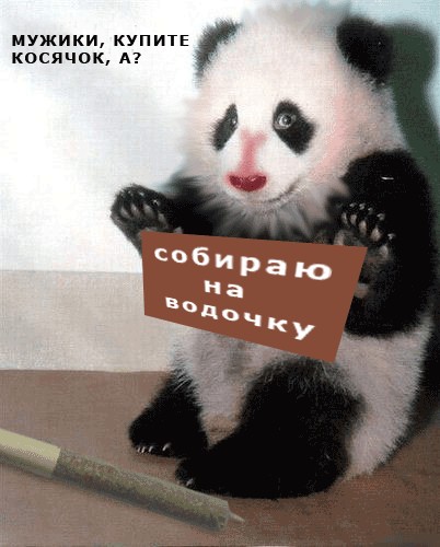 Фотожаба: Панда спалился!