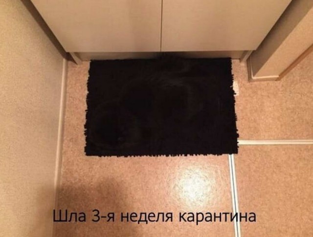 Бредзона 08.05.20